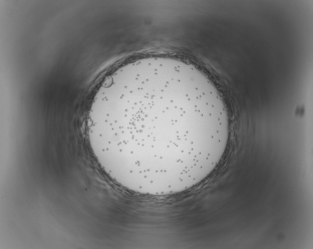 X0000111511206200908251105