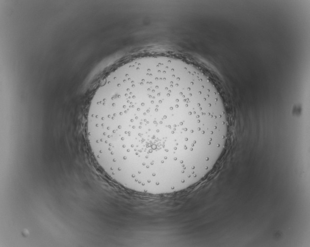 X0000111511207200908251105