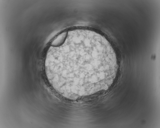 X0000111511208200908251105