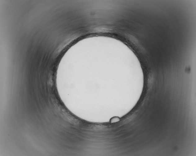 X0000111511209200908251105