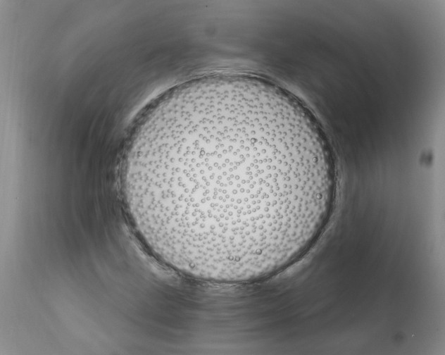 X0000111511211200908251105