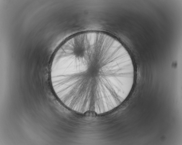 X0000111511212200908251105