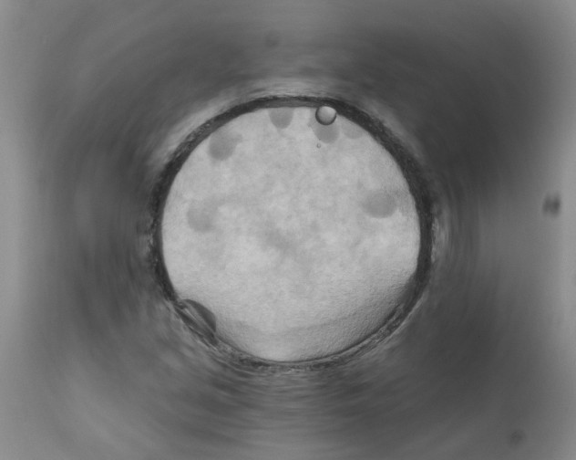X0000111511213200908251105