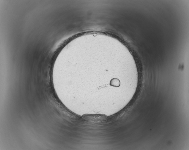 X0000111511214200908251105