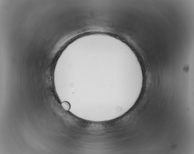 X0000111511215200908251105