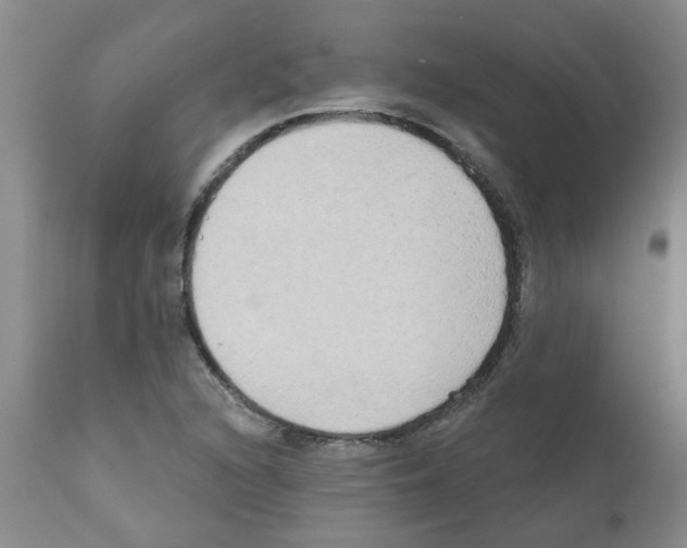 X0000111511216200908251105