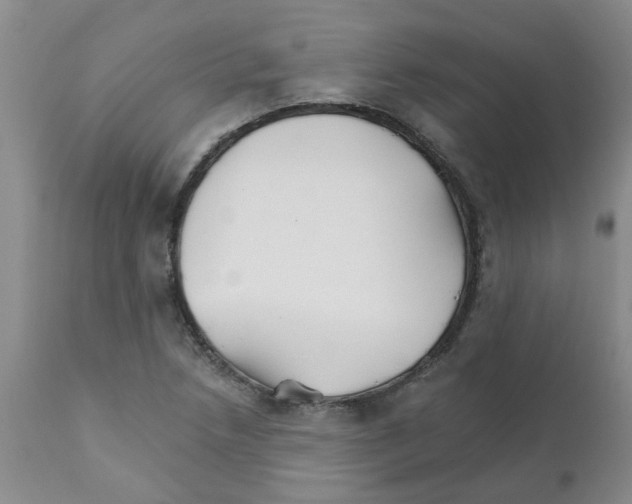 X0000111511218200908251105