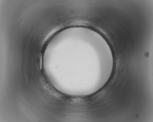 X0000111511219200908251105