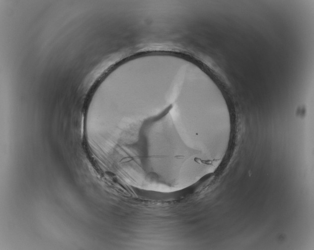 X0000111511221200908251105