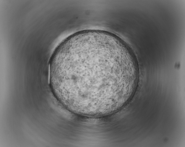 X0000111511223200908251105