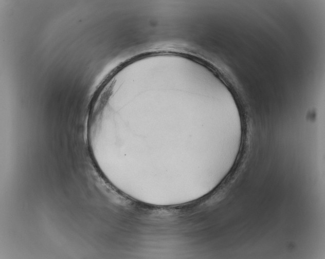 X0000111511224200908251105