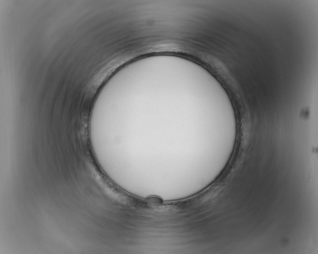 X0000111511225200908251105