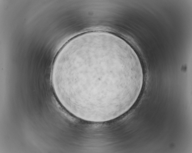 X0000111511228200908251105