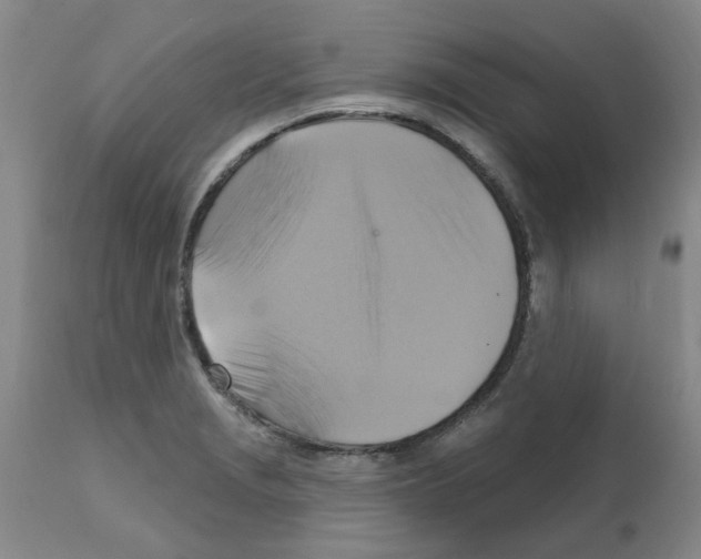 X0000111511229200908251105