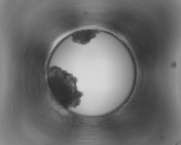 X0000111511230200908251105