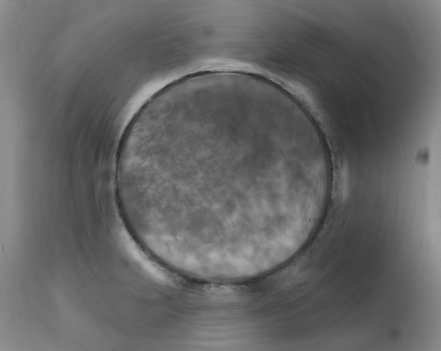 X0000111511231200908251105