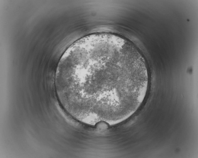 X0000111511233200908251105