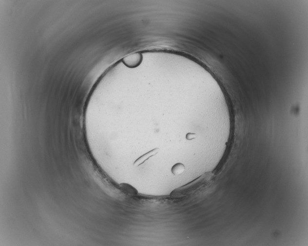 X0000111511234200908251105