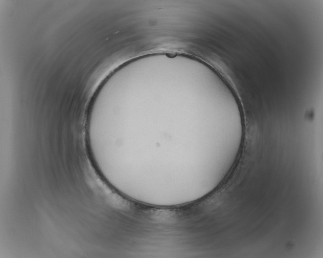 X0000111511235200908251105