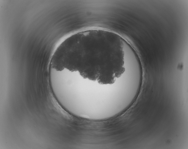 X0000111511238200908251105