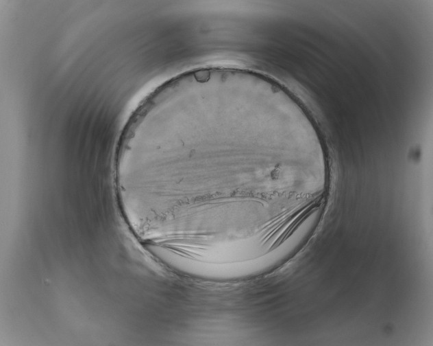 X0000111511240200908251105