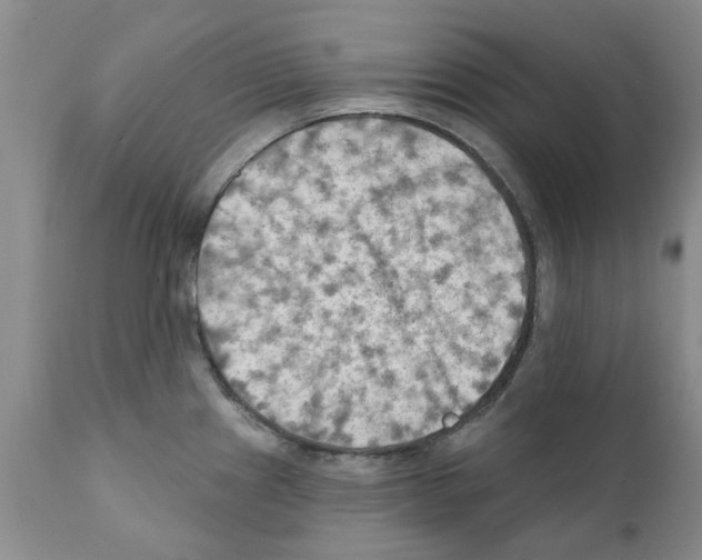 X0000111511241200908251105