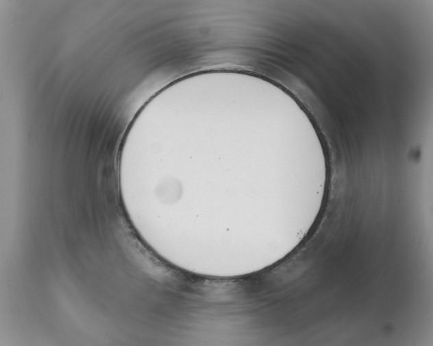 X0000111511242200908251105
