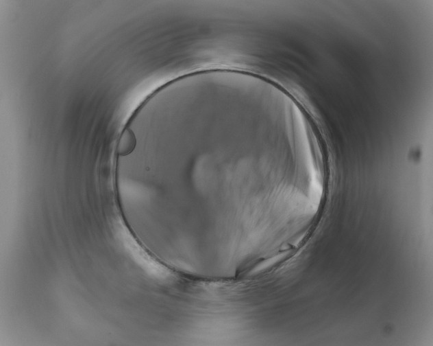 X0000111511246200908251106