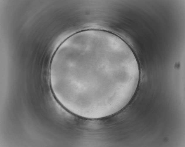 X0000111511247200908251106