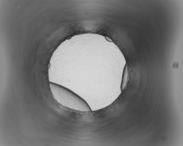X0000111511249200908251105