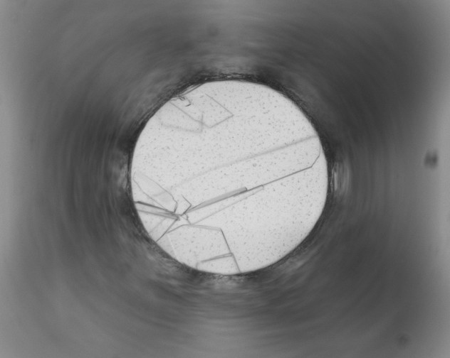 X0000111511251200908251105