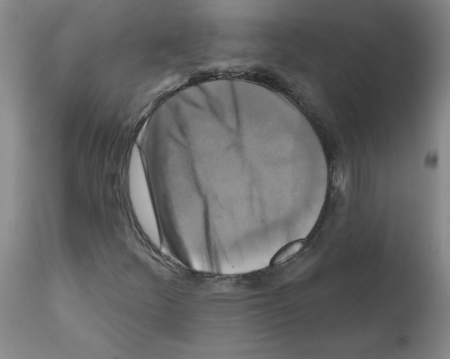X0000111511252200908251105