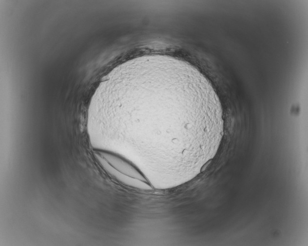 X0000111511253200908251105