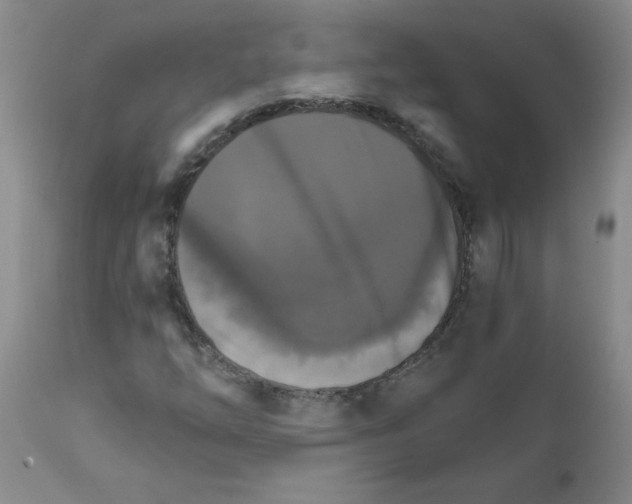 X0000111511254200908251105