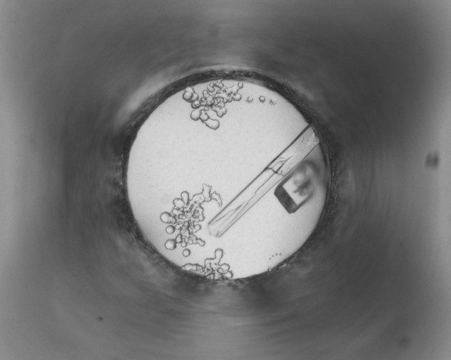 X0000111511255200908251105