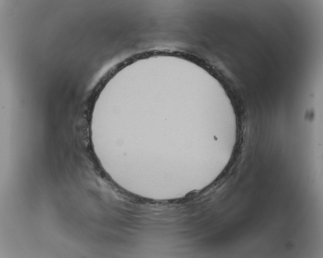 X0000111511256200908251105