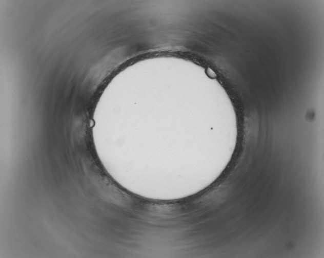 X0000111511257200908251105