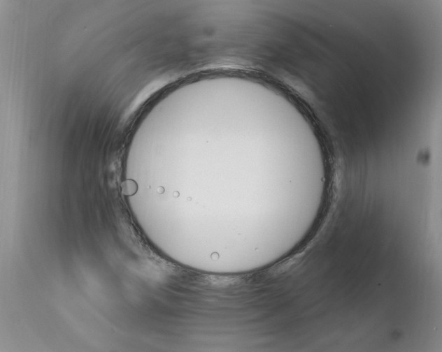 X0000111511258200908251105