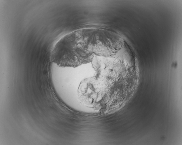 X0000111511259200908251105