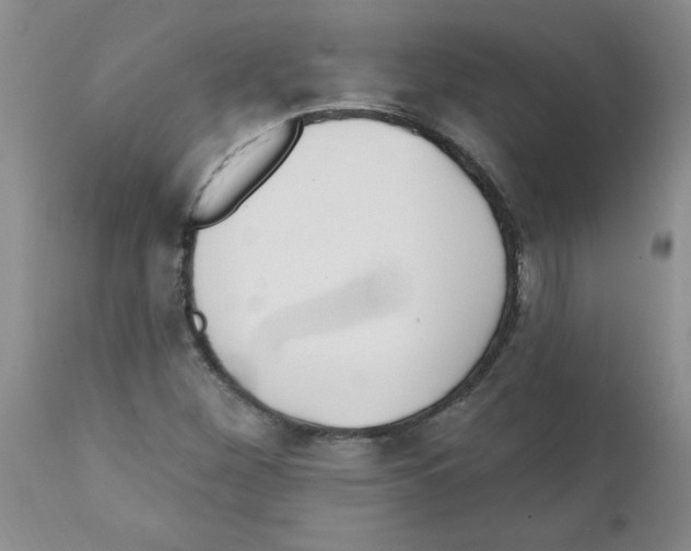 X0000111511260200908251105