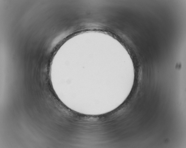 X0000111511261200908251105
