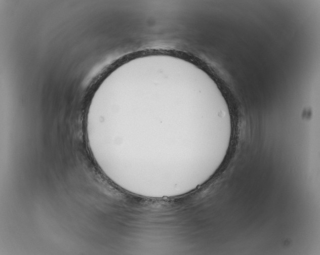 X0000111511262200908251105
