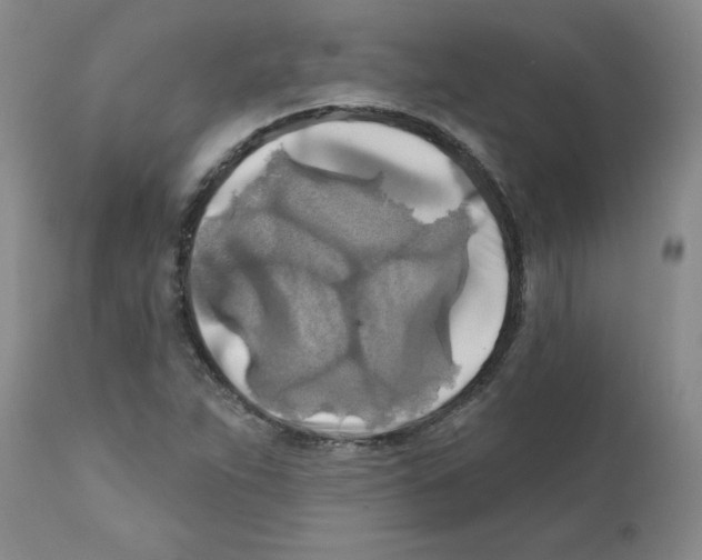 X0000111511263200908251105