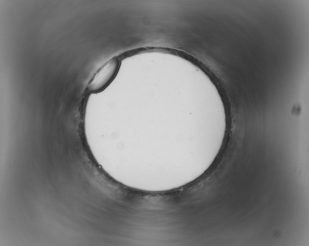 X0000111511264200908251105