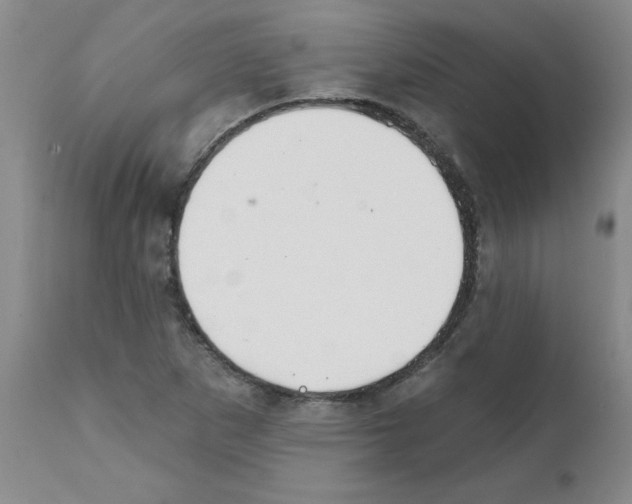 X0000111511265200908251104