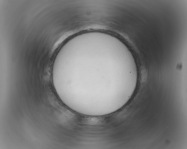 X0000111511266200908251104
