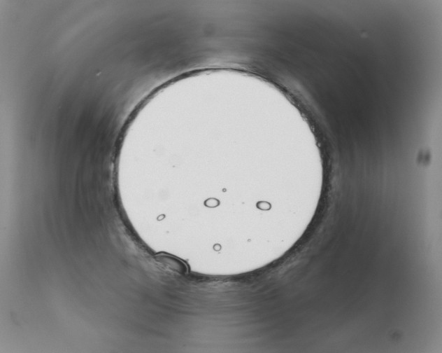 X0000111511268200908251104