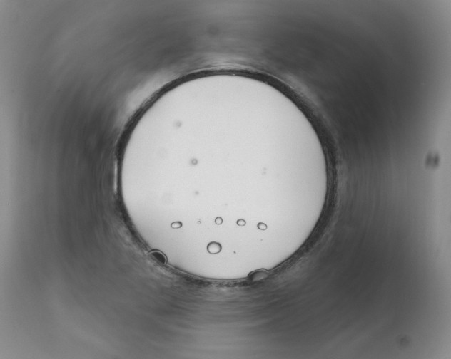 X0000111511269200908251104