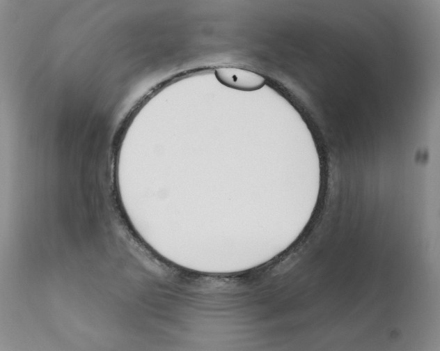 X0000111511270200908251104