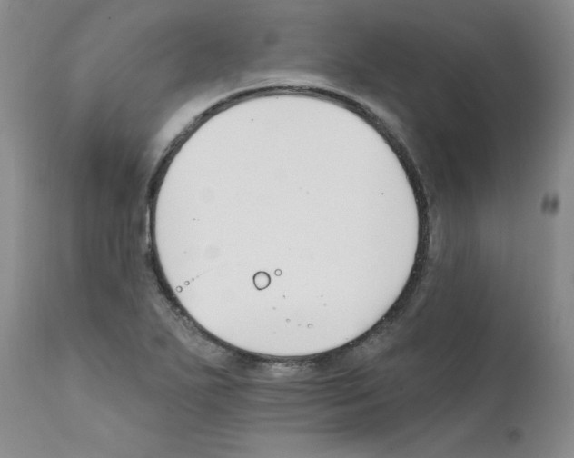 X0000111511271200908251104